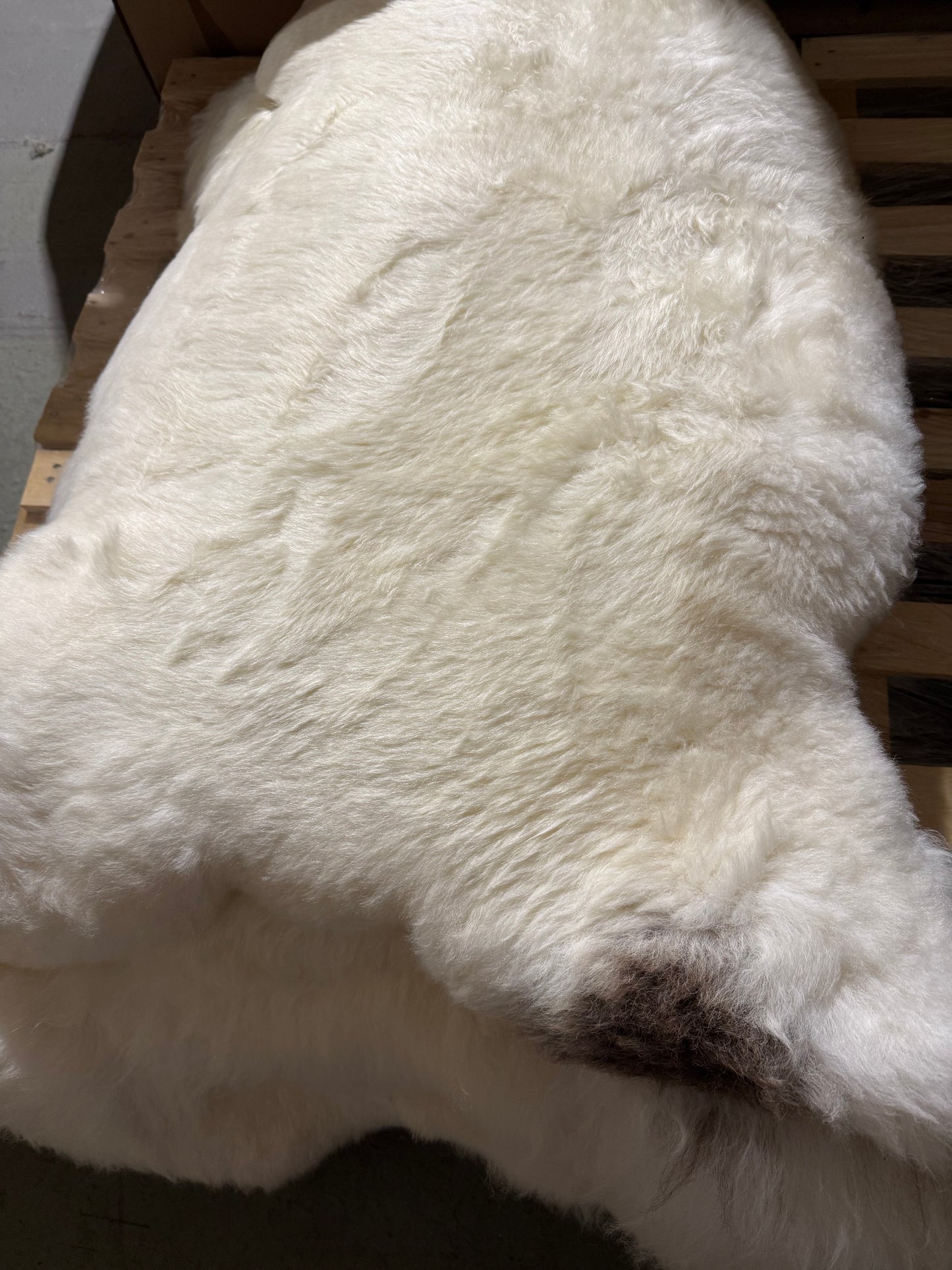 Schaffell Weiß mit Braun - Unikat