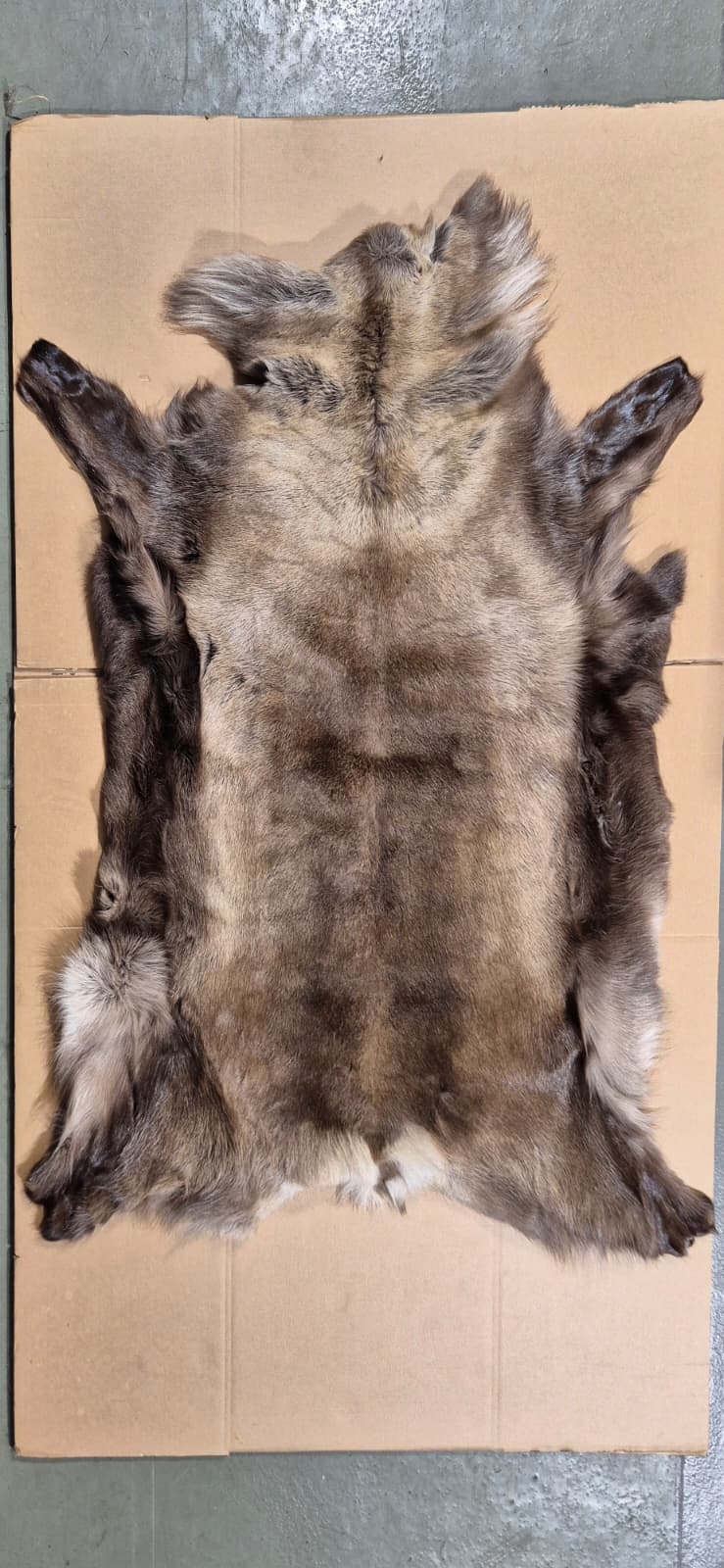 Reindeer Fur Dark
