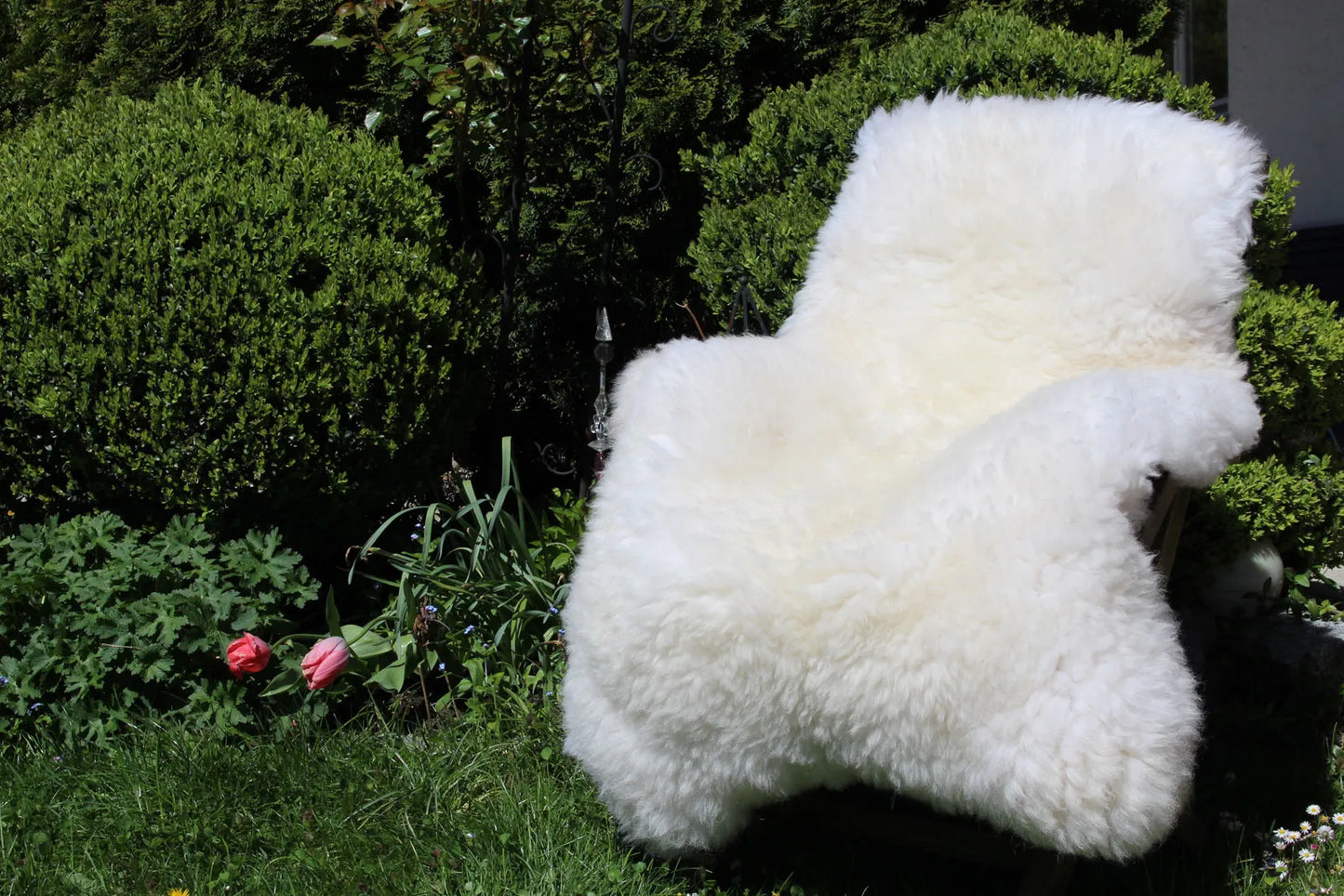 Sheepskin White 