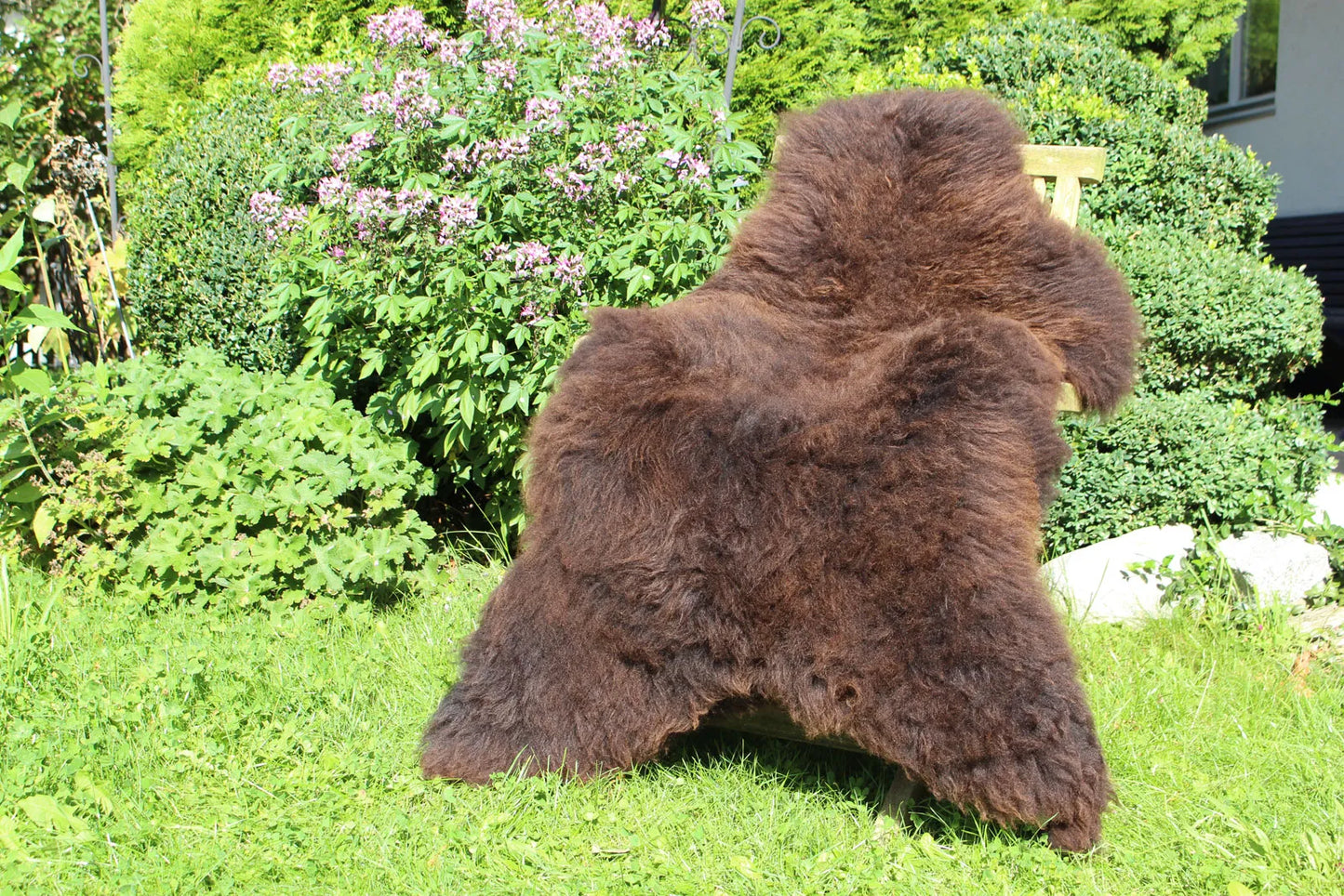 Sheepskin Brown 