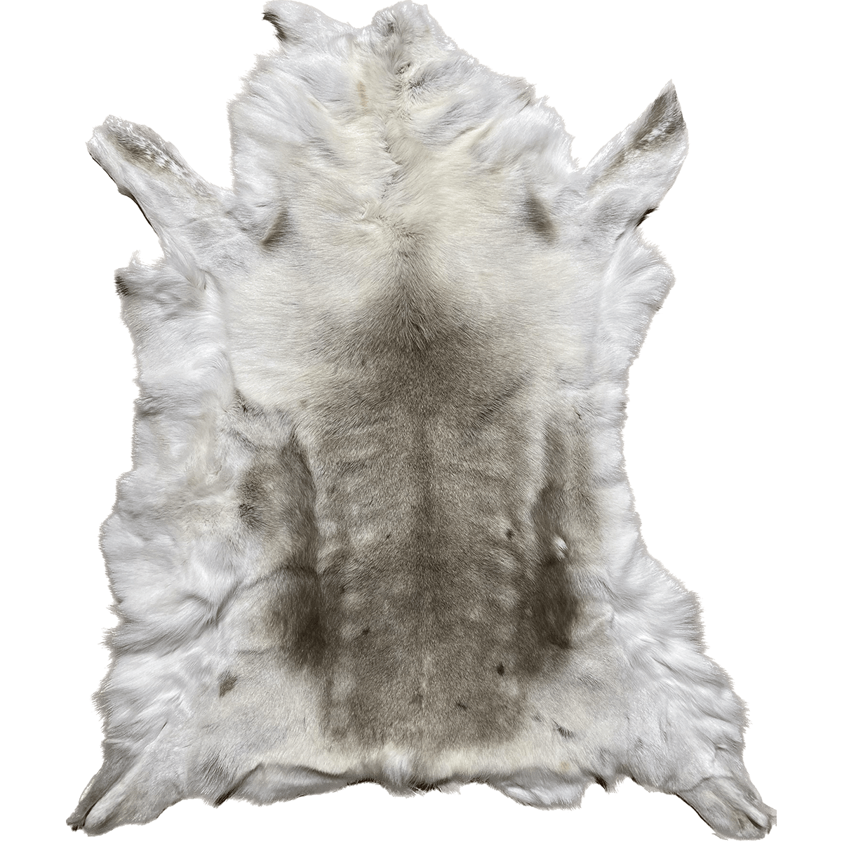 Reindeer Fur White *rare* 